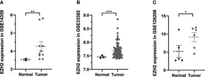 Novel Natural Inhibitors Targeting Enhancer of Zeste Homolog 2: A Comprehensive Structural Biology Research